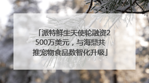 派特鲜生天使轮融资2500万美元，与海鼎共推宠物食品数智化升级