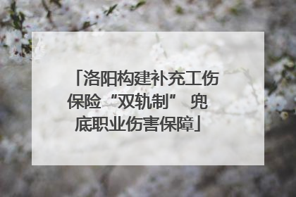 洛阳构建补充工伤保险“双轨制” 兜底职业伤害保障