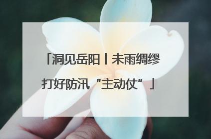 洞见岳阳丨未雨绸缪 打好防汛“主动仗”