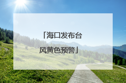 海口发布台风黄色预警