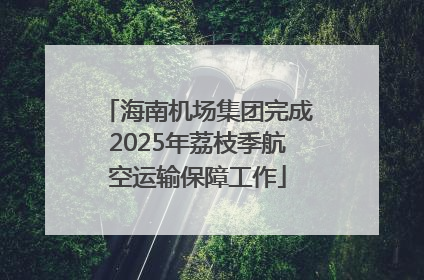 海南机场集团完成2025年荔枝季航空运输保障工作