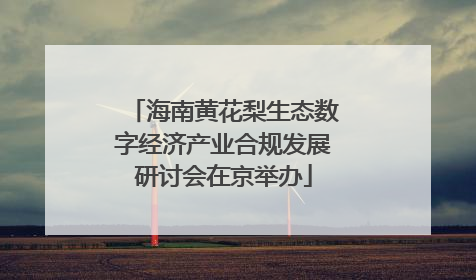 海南黄花梨生态数字经济产业合规发展研讨会在京举办