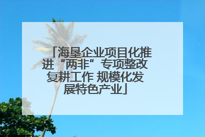 海垦企业项目化推进“两非”专项整改复耕工作 规模化发展特色产业