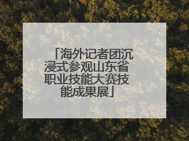 海外记者团沉浸式参观山东省职业技能大赛技能成果展