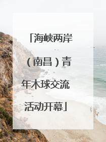 海峡两岸（南昌）青年木球交流活动开幕