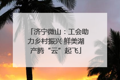 济宁微山：工会助力乡村振兴 鲜美湖产腾“云”起飞