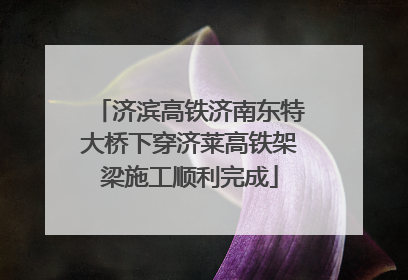 济滨高铁济南东特大桥下穿济莱高铁架梁施工顺利完成