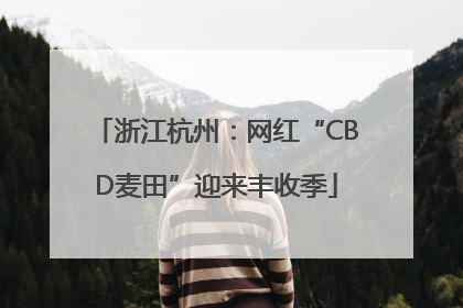 浙江杭州：网红“CBD麦田”迎来丰收季