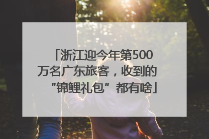 浙江迎今年第500万名广东旅客，收到的“锦鲤礼包”都有啥