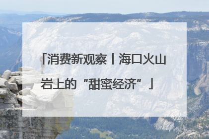 消费新观察丨海口火山岩上的“甜蜜经济”
