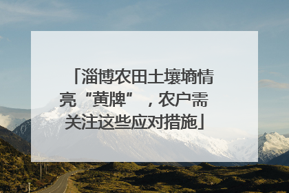 淄博农田土壤墒情亮“黄牌”，农户需关注这些应对措施