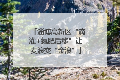 淄博高新区“滴灌+氮肥后移”让麦浪变“金浪”