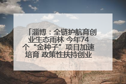 淄博：全链护航育创业生态雨林 今年74个“金种子”项目加速培育 政策性扶持创业9754人