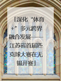 深化“体育+”多元跨界融合发展——江苏省首届匹克球大赛在无锡开赛