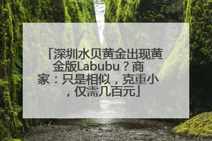 深圳水贝黄金出现黄金版Labubu？商家：只是相似，克重小，仅需几百元