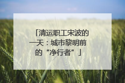 清运职工宋波的一天：城市黎明前的“净行者”