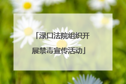 渌口法院组织开展禁毒宣传活动
