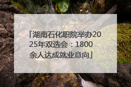湖南石化职院举办2025年双选会：1800余人达成就业意向