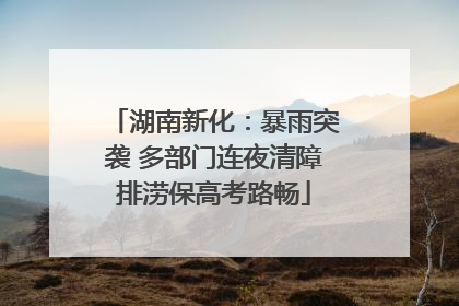 湖南新化：暴雨突袭 多部门连夜清障排涝保高考路畅