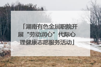 湖南有色金属职院开展“劳动润心”代际心理健康志愿服务活动