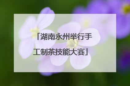 湖南永州举行手工制茶技能大赛