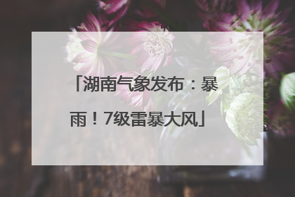 湖南气象发布：暴雨！7级雷暴大风