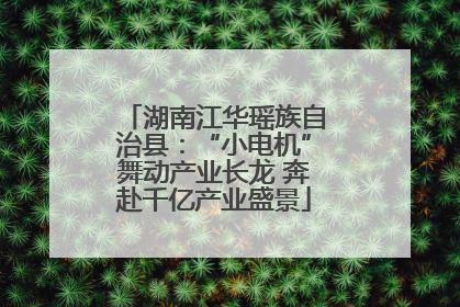 湖南江华瑶族自治县：“小电机”舞动产业长龙 奔赴千亿产业盛景