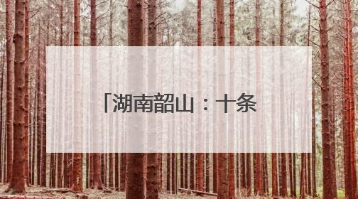 湖南韶山：十条“干货”措施支持大学生创业