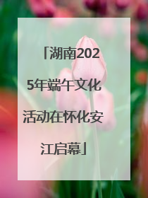 湖南2025年端午文化活动在怀化安江启幕
