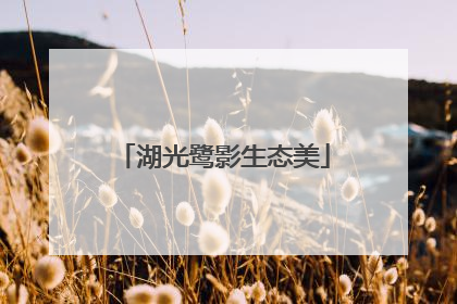 湖光鹭影生态美
