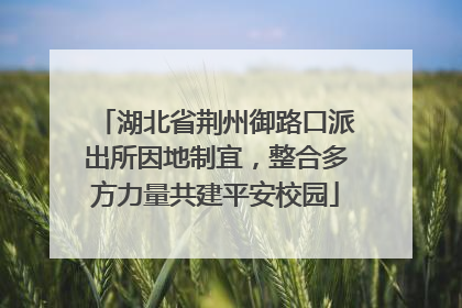 湖北省荆州御路口派出所因地制宜，整合多方力量共建平安校园