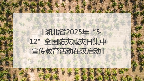湖北省2025年“5·12”全国防灾减灾日集中宣传教育活动在汉启动