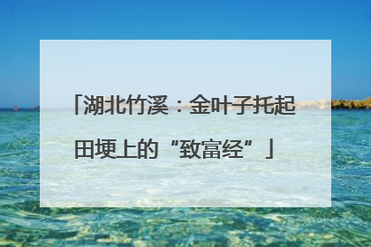 湖北竹溪：金叶子托起田埂上的“致富经”