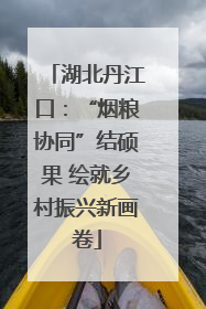 湖北丹江口：“烟粮协同”结硕果 绘就乡村振兴新画卷