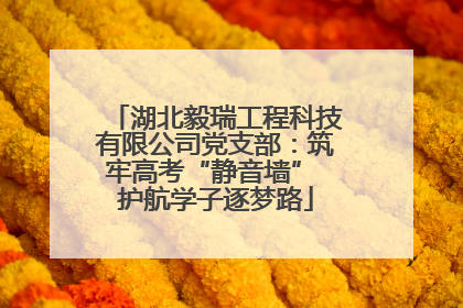 湖北毅瑞工程科技有限公司党支部：筑牢高考“静音墙” 护航学子逐梦路