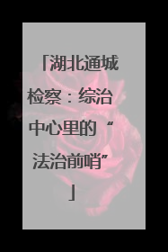 湖北通城检察：综治中心里的“法治前哨”