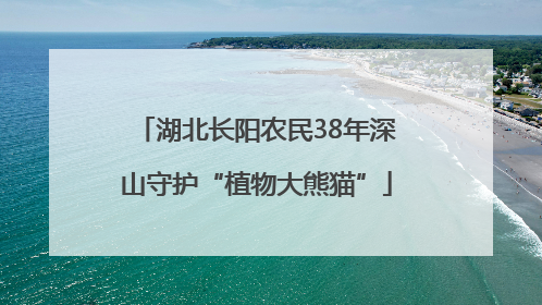 湖北长阳农民38年深山守护“植物大熊猫”