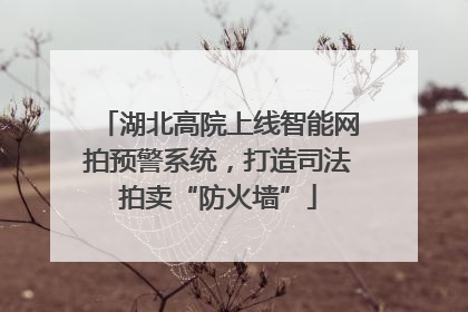 湖北高院上线智能网拍预警系统，打造司法拍卖“防火墙”