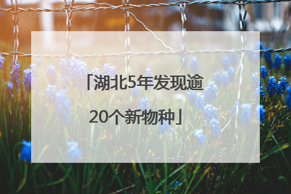 湖北5年发现逾20个新物种