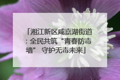 湘江新区咸嘉湖街道：全民共筑“青春防毒墙” 守护无毒未来