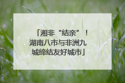 湘非“结亲”！湖南八市与非洲九城缔结友好城市