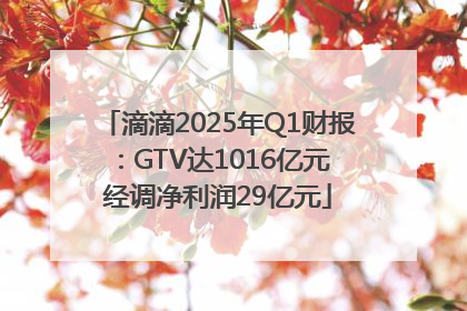 滴滴2025年Q1财报：GTV达1016亿元 经调净利润29亿元