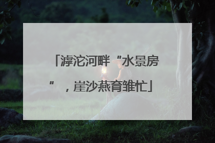 滹沱河畔“水景房”，崖沙燕育雏忙