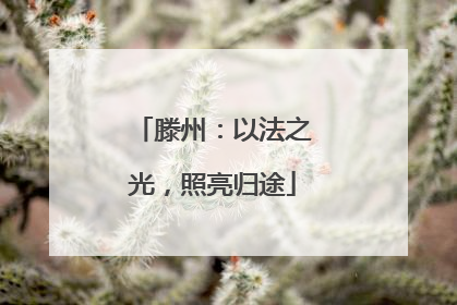 滕州：以法之光，照亮归途