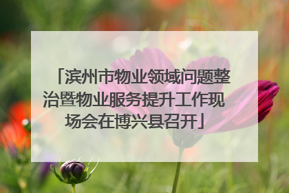 滨州市物业领域问题整治暨物业服务提升工作现场会在博兴县召开