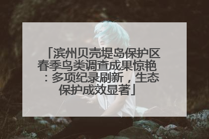 滨州贝壳堤岛保护区春季鸟类调查成果惊艳：多项纪录刷新，生态保护成效显著
