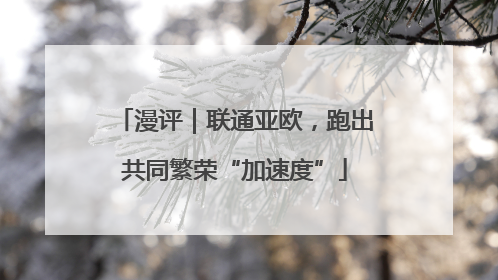 漫评｜联通亚欧，跑出共同繁荣“加速度”