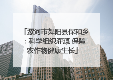 漯河市舞阳县保和乡：科学组织灌溉 保障农作物健康生长