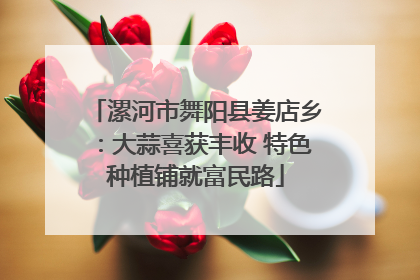 漯河市舞阳县姜店乡：大蒜喜获丰收 特色种植铺就富民路
