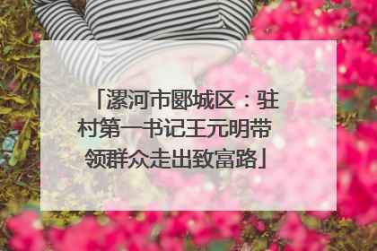 漯河市郾城区：驻村第一书记王元明带领群众走出致富路